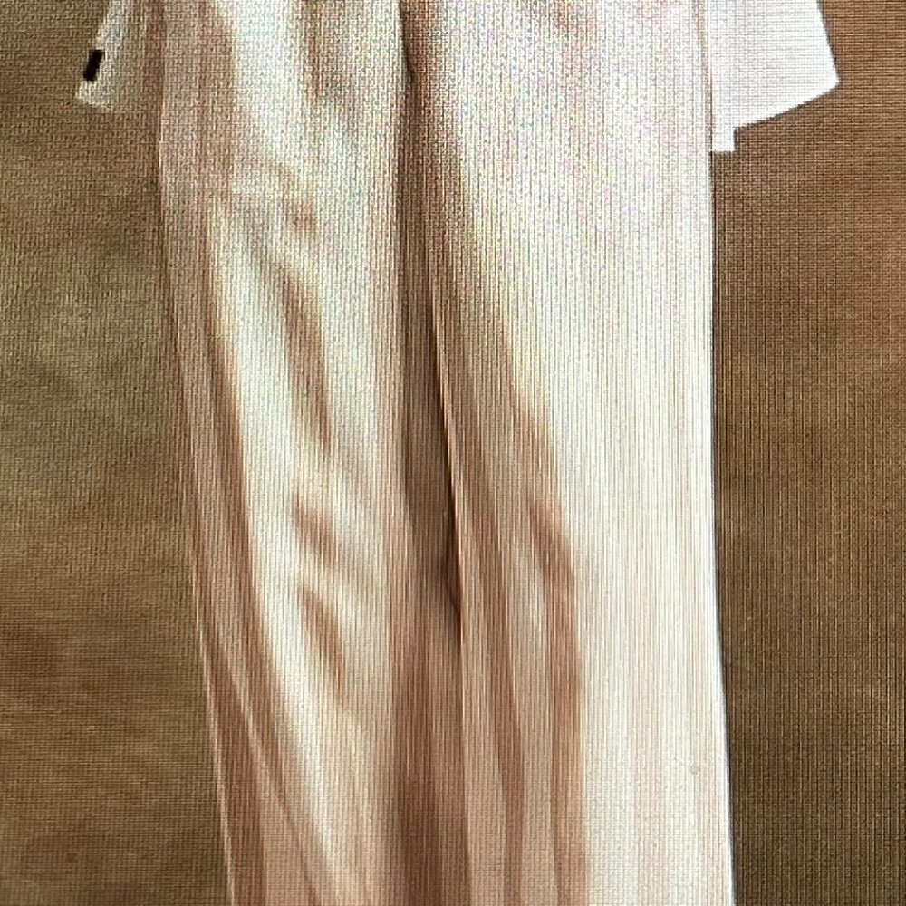 Banana Republic Wide Leg Pant Size L